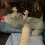 Kris Barton - @bigdumbyak - Instagram