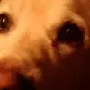 Kris Berger - @kris.berger0 - TikTok