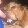 Kris Bevans - @krisbevans - TikTok