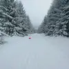 Kris - @kristijanbevan12 - TikTok