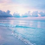 Kris in Bloom - @kris.in.bloom - Instagram