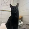 Kristian - @kristianborgen - TikTok