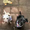 kristinbratton1 - @kristinbratton1 - TikTok