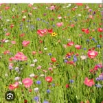 Kris Burnham - @kburnham1969 - Instagram