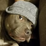 kris busching - @krisbusching - Instagram