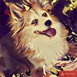 Kris Byers - @kmdbphoto - Instagram