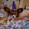 Kristen Byers - @kristenbyers5 - TikTok