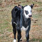 Kris Cagle - Facebook
