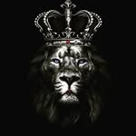 Kris Caldwell - @kingsmankris - Instagram