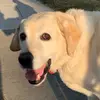 krischangy - @krischangy - TikTok