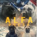 Kris Chavez - @alfa_presa - Instagram