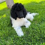 Kris Boltz- Coates - @kriscoates - Instagram