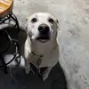 Kris - @kriscooley05 - TikTok
