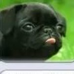 Kris Craig - @kriscraig9899 - Instagram