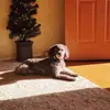 Kristina Curtin - @kristinacurtin0 - TikTok