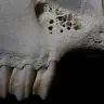 Kris Daniel - @krisdaniel666 - TikTok