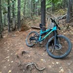 Kris Dickson - @dicky.1689 - Instagram