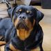 Kris Dorsey - Facebook