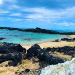 Kristi Duke - @particlenwave - Instagram