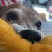 Kris Dunham - Facebook