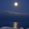 Kris Elkins549 - @ec1269 - TikTok