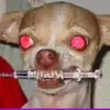 ✨😶‍🌫️😮‍💨⚰️✨ - @krislyn_elkins09 - TikTok