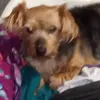 kris ellison - @kris.ellison - TikTok