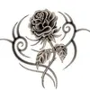 Kristy Epperson - @kristy.epperson0 - TikTok
