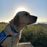 Kris Fitzgerald - @veteranlady - Instagram
