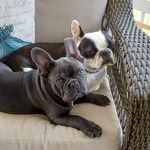 Kristine Holter Fitzgerald - @kris.fitzgerald - Instagram
