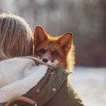 Kris.Vol - @kris__fox_ - Instagram