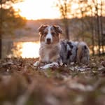 Kris Fulton Clark - @krisfultonclark - Instagram