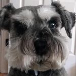 Kris Garrison Cauthen - @kac5410 - Instagram