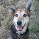 Kris Glover - ccab - @gloverccab - Instagram