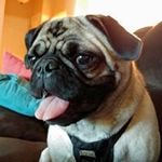 Kris Gould - @darthcar10 - Instagram