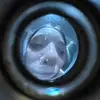 Kristen - @kristen._.greer - TikTok