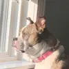 Kris Hadley - @krishadley47 - TikTok