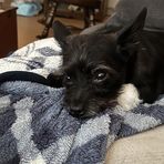 Kris Hammock - Facebook