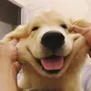krishanes - @krishanesgantleboy - TikTok