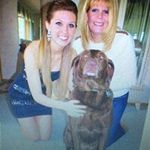 Kris Harrison - @krisharrison2866 - Instagram