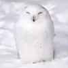 karma - @krishathaway5 - TikTok
