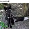 Kris Hathaway - @krishathaway2 - TikTok