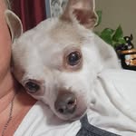 Kristi Hathaway - @kristihathaway - Instagram