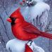 Kris Heffner - Facebook