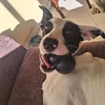 Kristhel Herrera - @kris.herrera.526 - Instagram