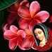 Kris Herrera - Facebook