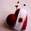 KristiHester - @brandzvi7tz - TikTok
