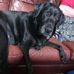 Kris Lee Hogan - Facebook