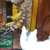 kris Howard - @kris.howard1 - TikTok