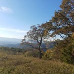 Kris Kuepfer Huffman - @huffman_kris - Instagram